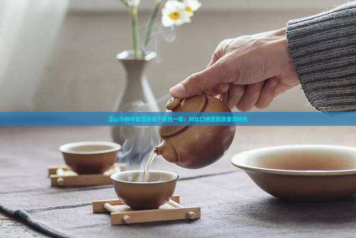 正山小种和普洱茶哪个好喝