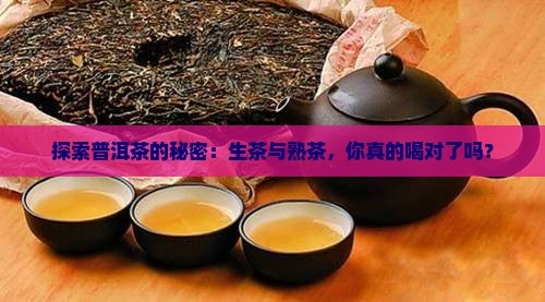 普洱茶生熟区别