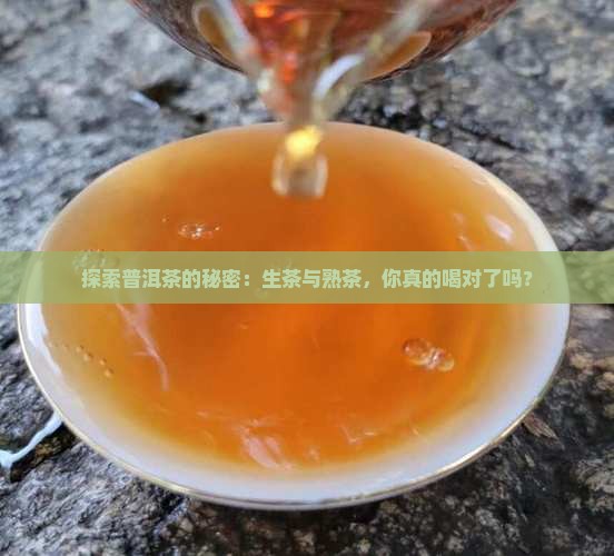 普洱茶生熟区别