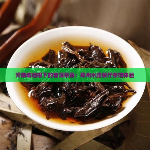 河南城墙根普洱茶