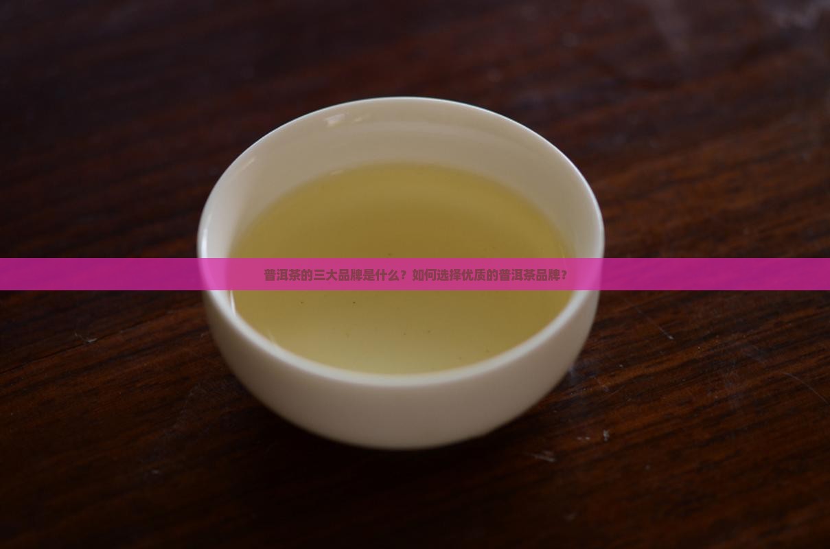 普洱茶有哪三大品牌