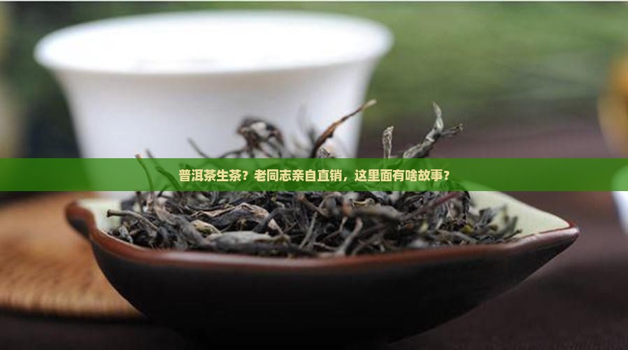 普洱茶生茶老同志厂长直销