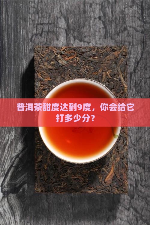 普洱茶甜度9度怎么打分
