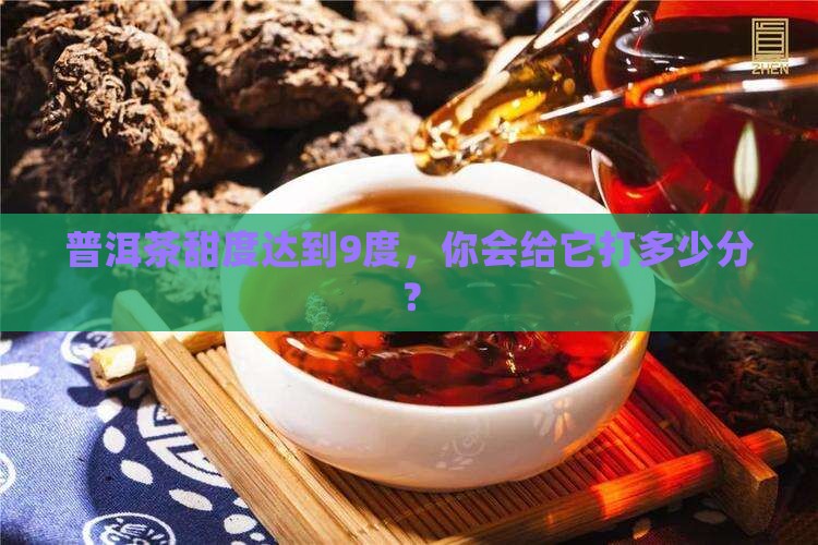 普洱茶甜度9度怎么打分