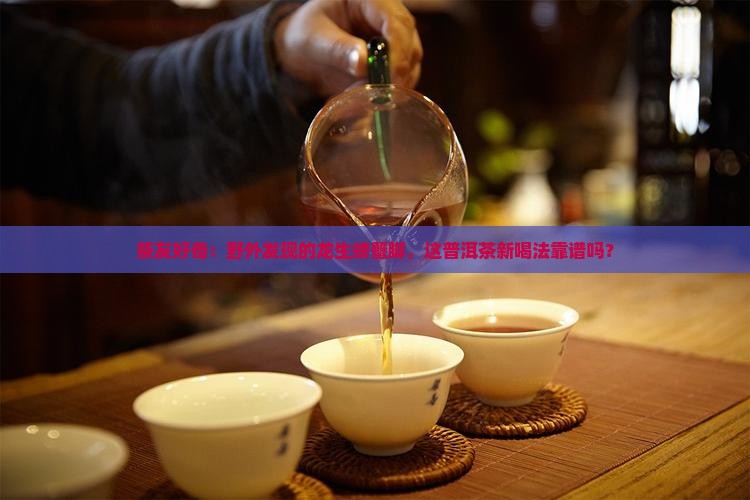 龙生螃蟹脚普洱茶