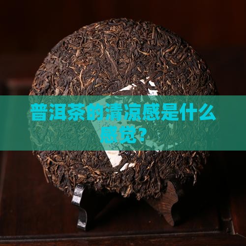 恭喜你普洱茶有清凉感
