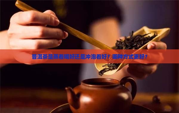 普洱茶蒸着好还是冲泡着好