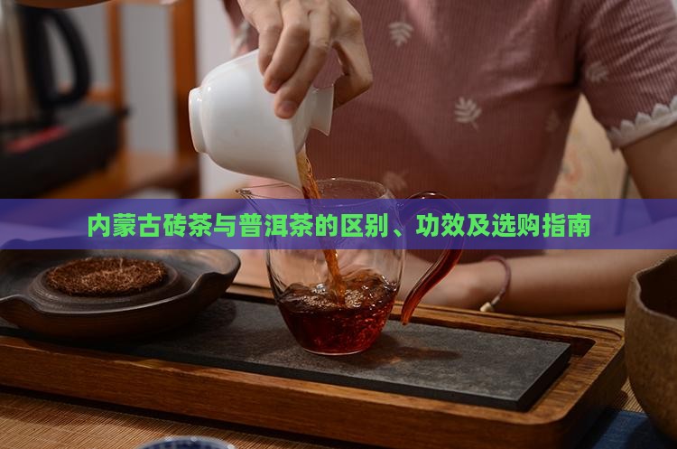 内蒙古砖茶和普洱茶