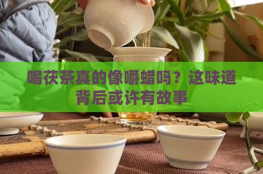 喝茯茶味同嚼蜡