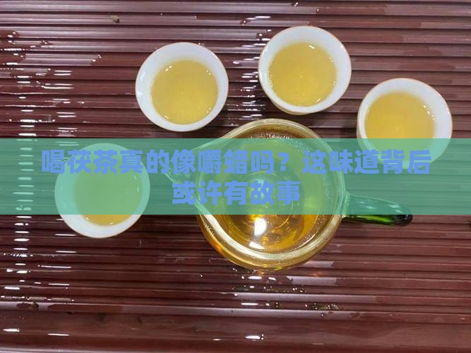 喝茯茶味同嚼蜡