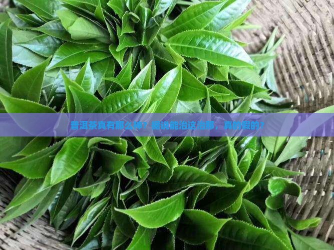 普洱茶功能治什么