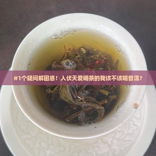 入伏能否喝普洱茶
