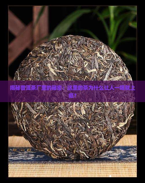 普洱茶厂的特点