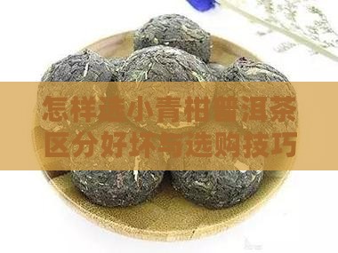 怎样选小青柑普洱茶