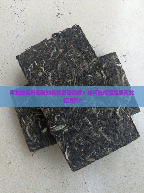 河北知名普洱茶品牌有