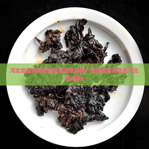河北知名普洱茶品牌有