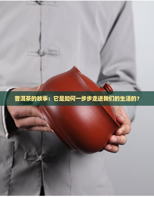普洱茶的形成与发展