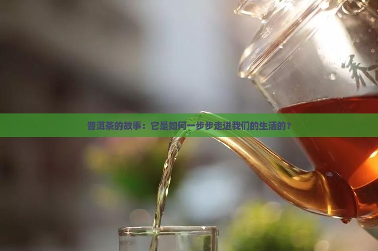 普洱茶的形成与发展