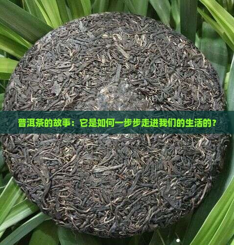 普洱茶的形成与发展