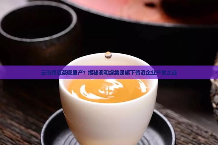 润和缘普洱茶哪里产的