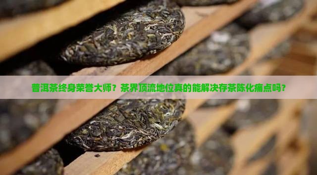普洱茶终身荣誉大师