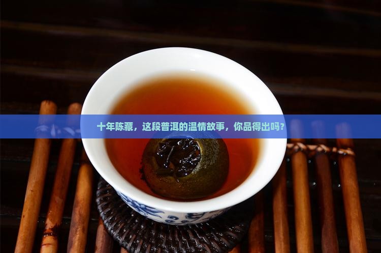 珍藏十年的普洱茶