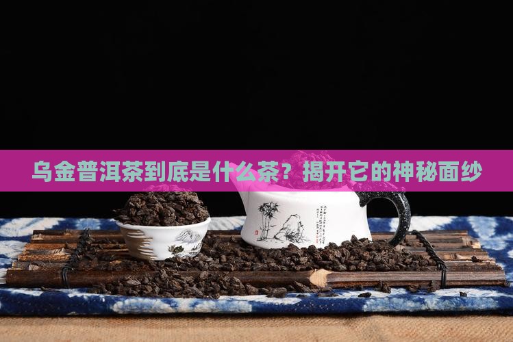 乌金普洱茶是啥茶类