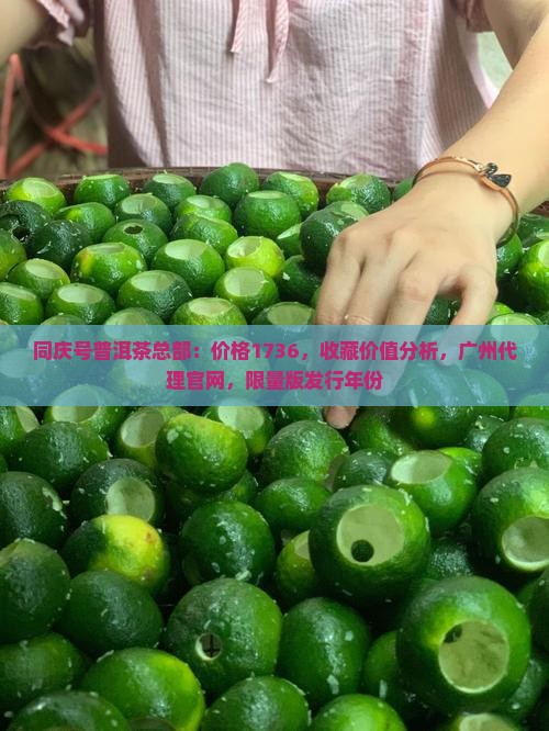 同庆号普洱茶总部