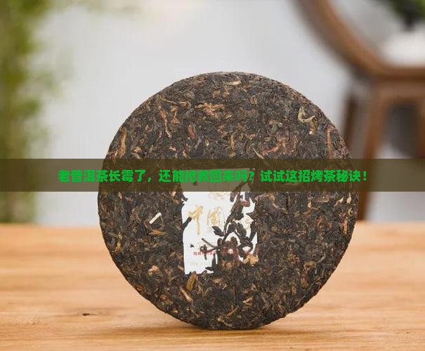 发霉的普洱茶可以烤吗