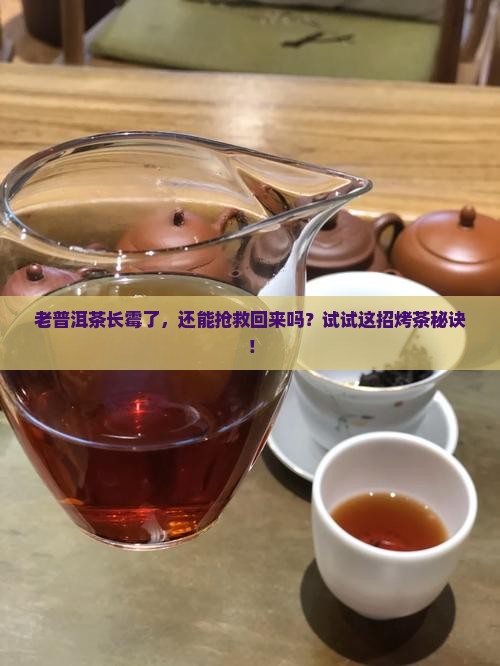 发霉的普洱茶可以烤吗