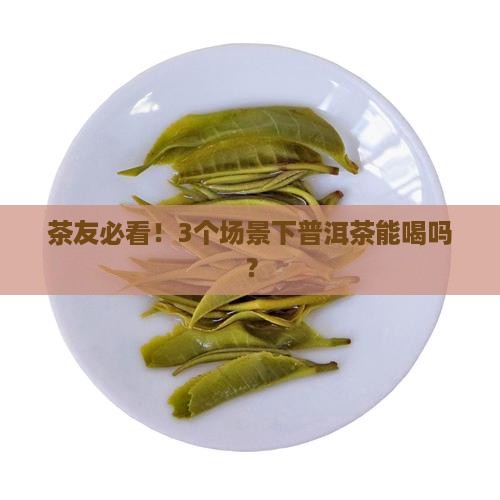普洱茶究竟能不能喝