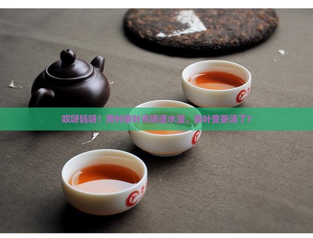 芳村茶叶市场水浸