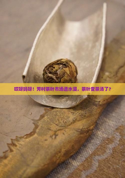 芳村茶叶市场水浸