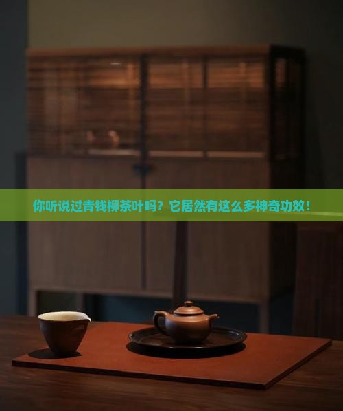 青钱柳茶叶有什么功效与作用