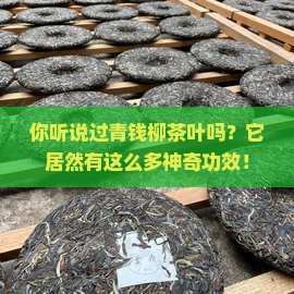 青钱柳茶叶有什么功效与作用