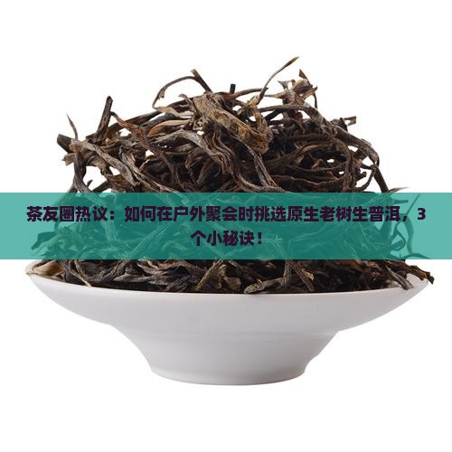 云西普洱茶生茶原生老树