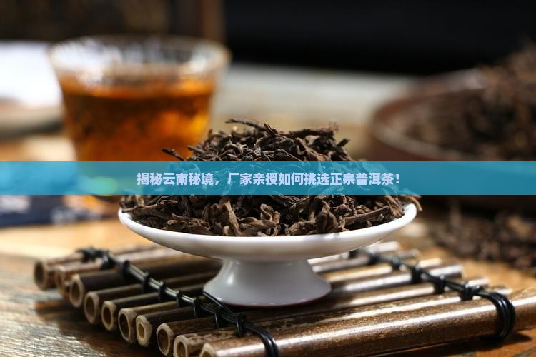 发货地云南厂家直销普洱茶