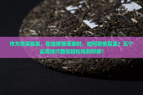 买普洱茶应该怎么选