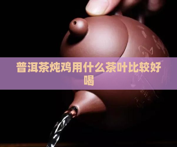 普洱茶炖鸡用什么茶叶比较好