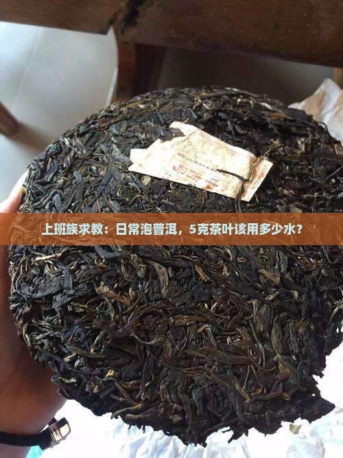 普洱茶泡开水的比例