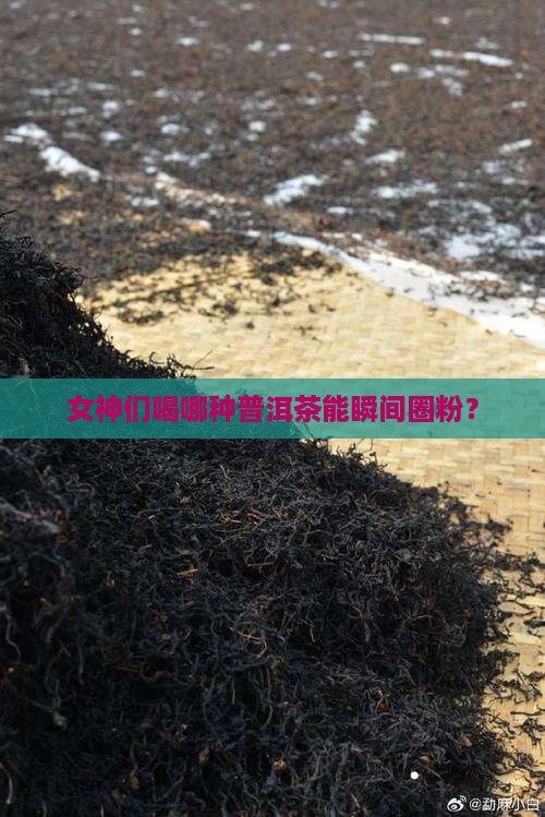 普洱茶有哪些适合女人喝