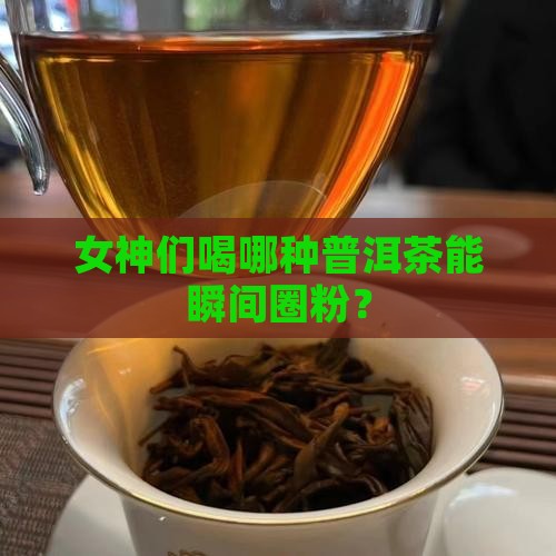普洱茶有哪些适合女人喝
