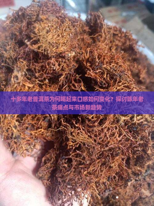 十多年老普洱茶喝起来
