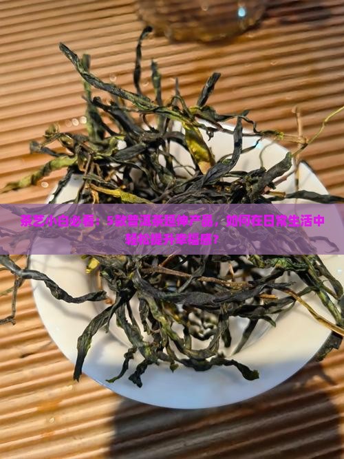 普洱茶延伸产品