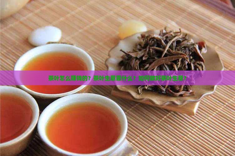 茶叶怎么赚钱的