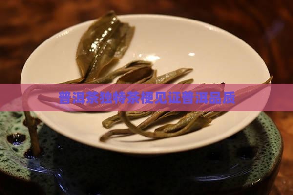 普洱茶有茶梗品质
