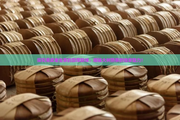 易武老生茶口感易武大树熟茶特点