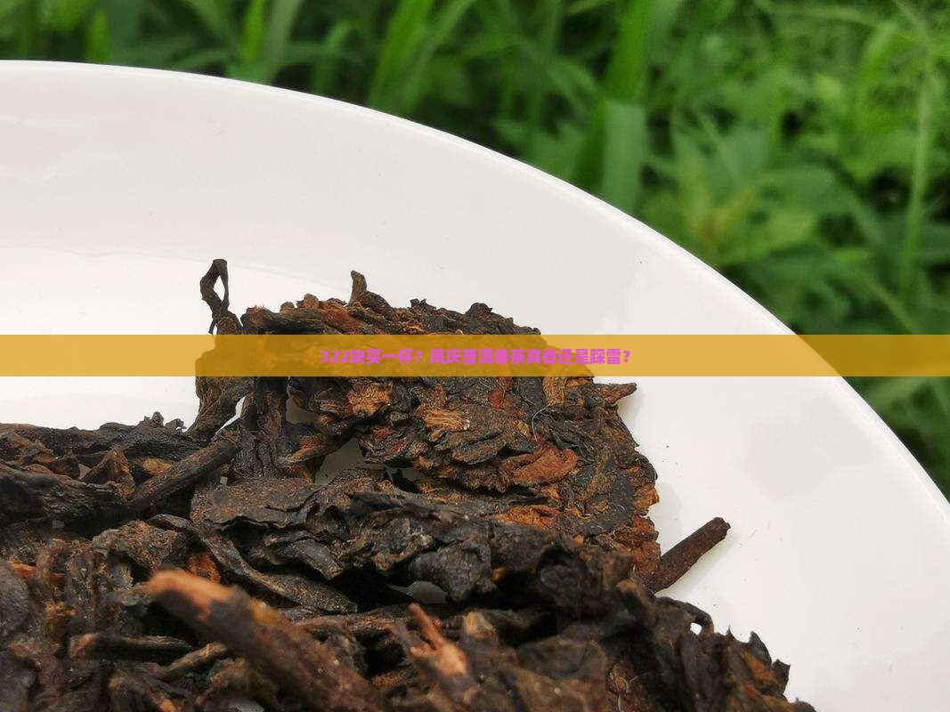 凤庆322经典普洱春茶