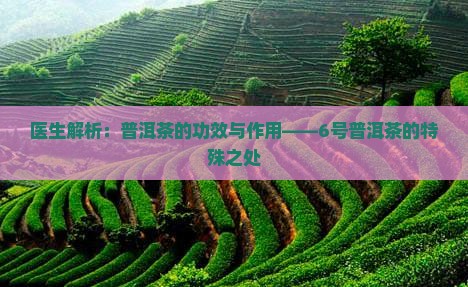 6号普洱茶的功效