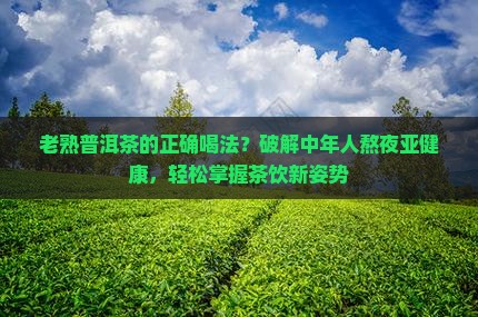 老熟普洱茶的正确喝法